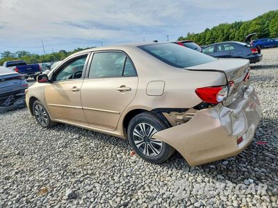 Drugie zdjęcie samochodu z przodu: 2011 TOYOTA COROLLA LE VIN:2T1BU4EE7BC656794 - miniatura