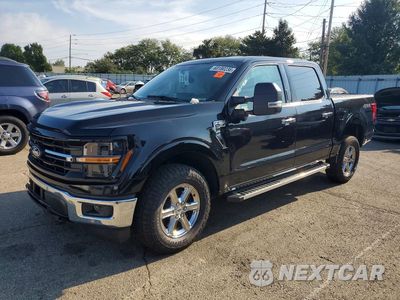 2024 FORD F150 XLT 1FTFW3L82RFA32664 - główne zdjęcie licytacji z USA - miniatura