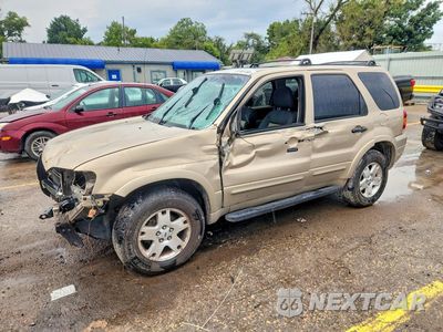 2007 FORD ESCAPE XLT 1FMYU03167KB08693 - główne zdjęcie licytacji z USA - miniatura