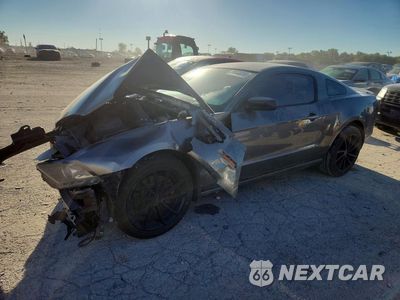 2014 FORD MUSTANG 1ZVBP8AM4E5219216 - główne zdjęcie licytacji z USA - miniatura
