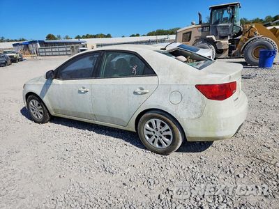 Drugie zdjęcie samochodu z przodu: 2013 KIA FORTE LX VIN:KNAFT4A28D5673360 - miniatura