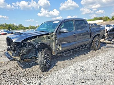 2023 TOYOTA TACOMA TRD SPORT 3TMCZ5AN5PM562493 - główne zdjęcie licytacji z USA - miniatura