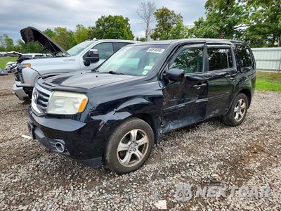 2014 HONDA PILOT EXL 5FNYF4H57EB040254 - główne zdjęcie licytacji z USA - miniatura