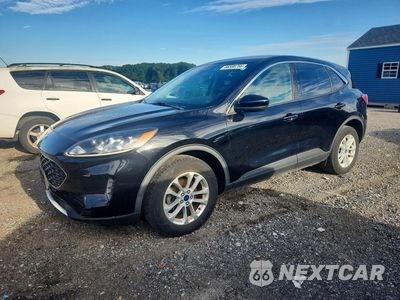 2020 FORD ESCAPE SE 1FMCU9G68LUA45597 - główne zdjęcie licytacji z USA - miniatura