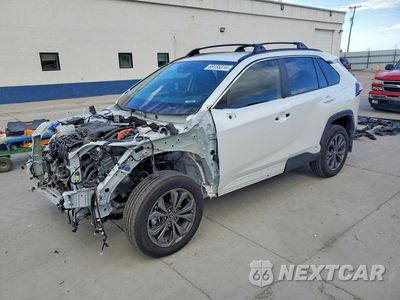 2024 TOYOTA RAV4 XLE PREMIUM 4T3B6RFV7RU153434 - główne zdjęcie licytacji z USA - miniatura