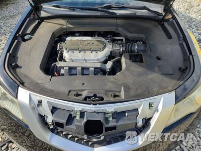 Zdjęcie 11 z 12 samochodu: 2009 ACURA TL VIN:19UUA86569A009827 - miniatura