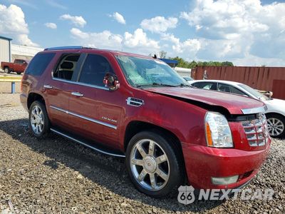 Czwarte zdjęcie samochodu z boku: 2010 CADILLAC ESCALADE LUXURY VIN:1GYUKBEF1AR164739 - miniatura