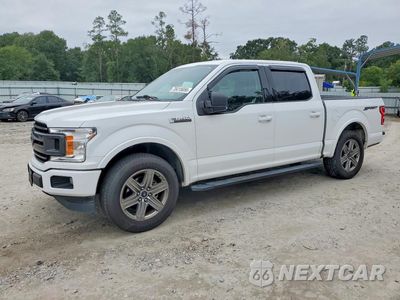 2019 FORD F150 1FTEW1C44KFB11417 - główne zdjęcie licytacji z USA - miniatura