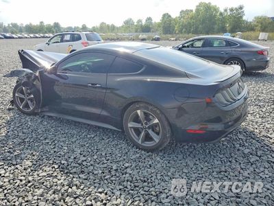 Drugie zdjęcie samochodu z przodu: 2016 FORD MUSTANG VIN:1FA6P8AMXG5224787 - miniatura