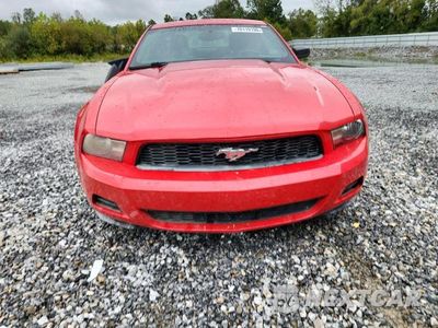 Piąte zdjęcie samochodu w środku: 2010 FORD MUSTANG VIN:1ZVBP8AN2A5127167 - miniatura