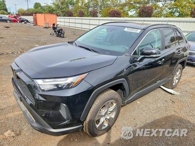 2025 TOYOTA RAV4 XLE 2T3P1RFVXSW518067 - główne zdjęcie licytacji z USA - miniatura