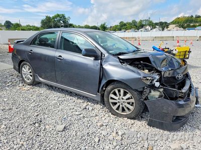Czwarte zdjęcie samochodu z boku: 2010 TOYOTA COROLLA S VIN:1NXBU4EE9AZ385489 - miniatura