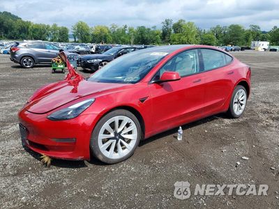 2021 TESLA MODEL 3 5YJ3E1EB1MF015631 - główne zdjęcie licytacji z USA - miniatura
