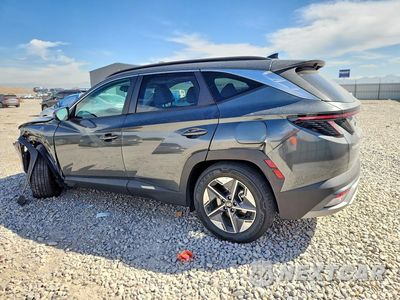 Drugie zdjęcie samochodu z przodu: 2025 HYUNDAI TUCSON SEL CONVENIENCE VIN:KM8JCDD16SU255779 - miniatura