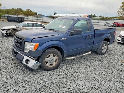 2013 FORD F150 1FTMF1CM9DFD24183 - główne zdjęcie licytacji z USA - miniatura