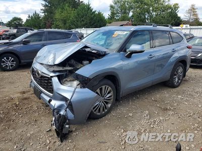 2020 TOYOTA HIGHLANDER PLATINUM 5TDFZRBH6LS013439 - główne zdjęcie licytacji z USA - miniatura