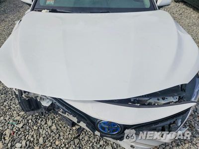 Zdjęcie 11 z 12 samochodu: 2023 TOYOTA CAMRY LE VIN:4T1C31AK9PU052364 - miniatura