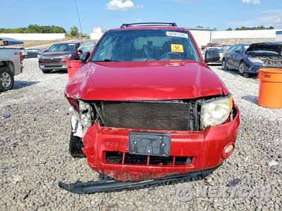 Piąte zdjęcie samochodu w środku: 2011 FORD ESCAPE XLT VIN:1FMCU0D72BKA19449 - miniatura