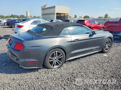 Trzecie zdjęcie samochodu z tyłu: 2017 FORD MUSTANG VIN:1FATP8UH2H5296019 - miniatura
