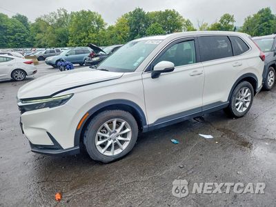 2026 HONDA CR-V EX 2HKRS4H40TH436242 - główne zdjęcie licytacji z USA - miniatura