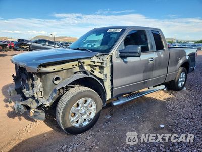 2011 FORD F150 SUPER CAB 1FTFX1CF7BFD14143 - główne zdjęcie licytacji z USA - miniatura