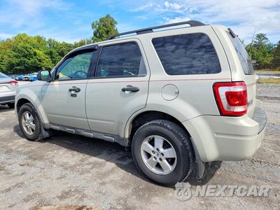 Drugie zdjęcie samochodu z przodu: 2009 FORD ESCAPE XLT VIN:1FMCU93G09KA61487 - miniatura