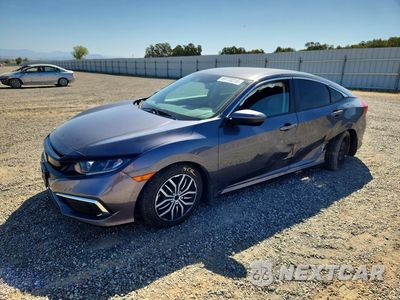 2020 HONDA CIVIC LX 2HGFC2F67LH503440 - główne zdjęcie licytacji z USA - miniatura