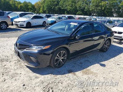 2019 TOYOTA CAMRY SE 4T1B11HK6KU734649 - główne zdjęcie licytacji z USA - miniatura