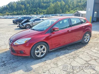 2013 FORD FOCUS SE 1FADP3K21DL306583 - główne zdjęcie licytacji z USA - miniatura