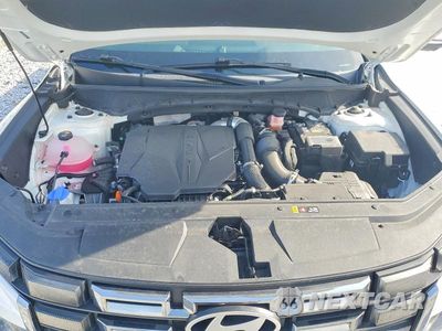 Zdjęcie 12 z 13 samochodu: 2025 HYUNDAI SANTA CRUZ LIMITED VIN:5NTJEDDF4SH144394 - miniatura