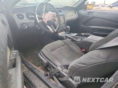 Zdjęcie 8 z 13 samochodu: 2013 FORD MUSTANG VIN:1ZVBP8EM8D5272252 - miniatura