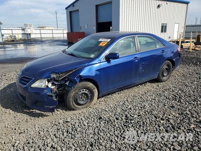 2010 TOYOTA CAMRY LE 4T1BF3EK4AU565568 - główne zdjęcie licytacji z USA - miniatura