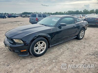 2011 FORD MUSTANG BASE 1ZVBP8AM9B5130592 - główne zdjęcie licytacji z USA - miniatura
