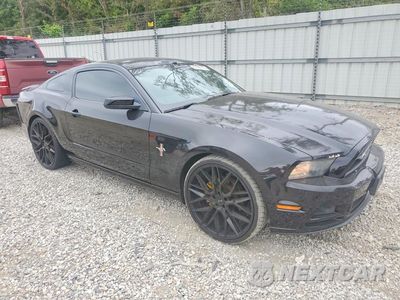 Czwarte zdjęcie samochodu z boku: 2014 FORD MUSTANG VIN:1ZVBP8AM6E5282625 - miniatura