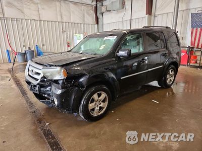 2011 HONDA PILOT EXLN 5FNYF4H77BB069699 - główne zdjęcie licytacji z USA - miniatura