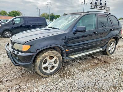 2003 BMW X5 3.0I 5UXFA53573LV85317 - główne zdjęcie licytacji z USA - miniatura