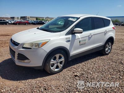 2014 FORD ESCAPE SE 1FMCU9GX4EUC01176 - główne zdjęcie licytacji z USA - miniatura