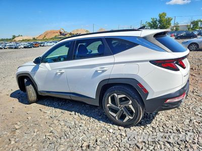 Drugie zdjęcie samochodu z przodu: 2024 HYUNDAI TUCSON SEL VIN:5NMJBCDE6RH425516 - miniatura