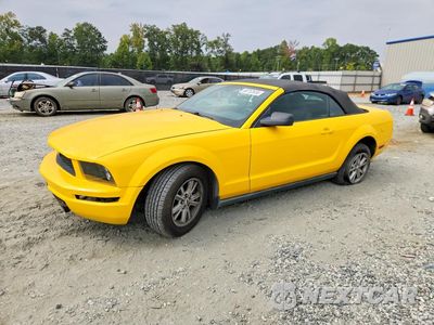 2005 FORD MUSTANG 1ZVFT84N455207973 - główne zdjęcie licytacji z USA - miniatura