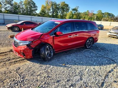 2023 HONDA ODYSSEY ELITE 5FNRL6H99PB054560 - główne zdjęcie licytacji z USA - miniatura