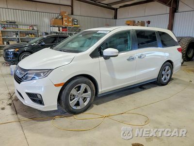 2019 HONDA ODYSSEY EXL 5FNRL6H79KB065534 - główne zdjęcie licytacji z USA - miniatura
