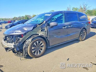 2024 HONDA ODYSSEY EXL 5FNRL6H64RB064017 - główne zdjęcie licytacji z USA - miniatura