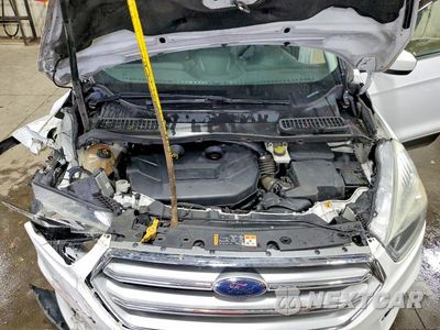 Zdjęcie 12 z 13 samochodu: 2017 FORD ESCAPE SE VIN:1FMCU9G91HUC01819 - miniatura
