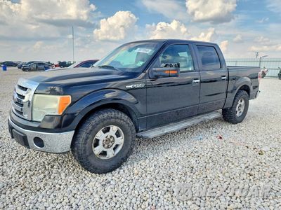 2010 FORD F150 SUPERCREW 1FTFW1CV3AKB83745 - główne zdjęcie licytacji z USA - miniatura