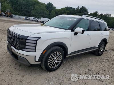 2027 HYUNDAI PALISADE SEL PREMIUM KM8RNES20VU139867 - główne zdjęcie licytacji z USA - miniatura
