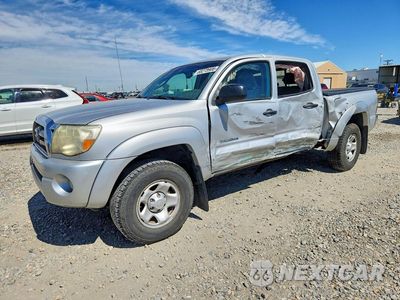 2010 TOYOTA TACOMA V6 3TMLU4EN3AM042058 - główne zdjęcie licytacji z USA - miniatura