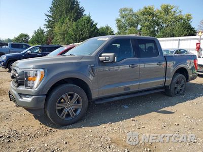 2021 FORD F150 SUPERCREW 1FTFW1E57MKD06559 - główne zdjęcie licytacji z USA - miniatura