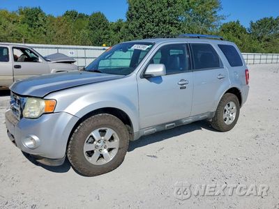 2010 FORD ESCAPE LIMITED 1FMCU0E72AKD37519 - główne zdjęcie licytacji z USA - miniatura