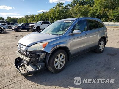 2008 HONDA CR-V EXL 5J6RE48798L024514 - główne zdjęcie licytacji z USA - miniatura