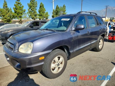 2005 HYUNDAI SANTA FE GLS KM8SC13D05U874557 - główne zdjęcie licytacji z USA - miniatura